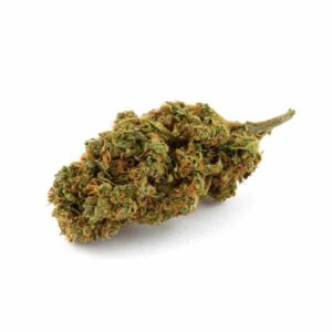 Hemp Embassy Special CBD Cannabis L Weed High Quality