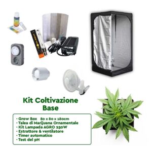 kit coltivazione Marijuana Cannabis base