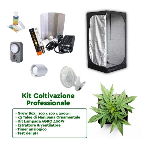 kit coltivazione pro marijuana cannabis
