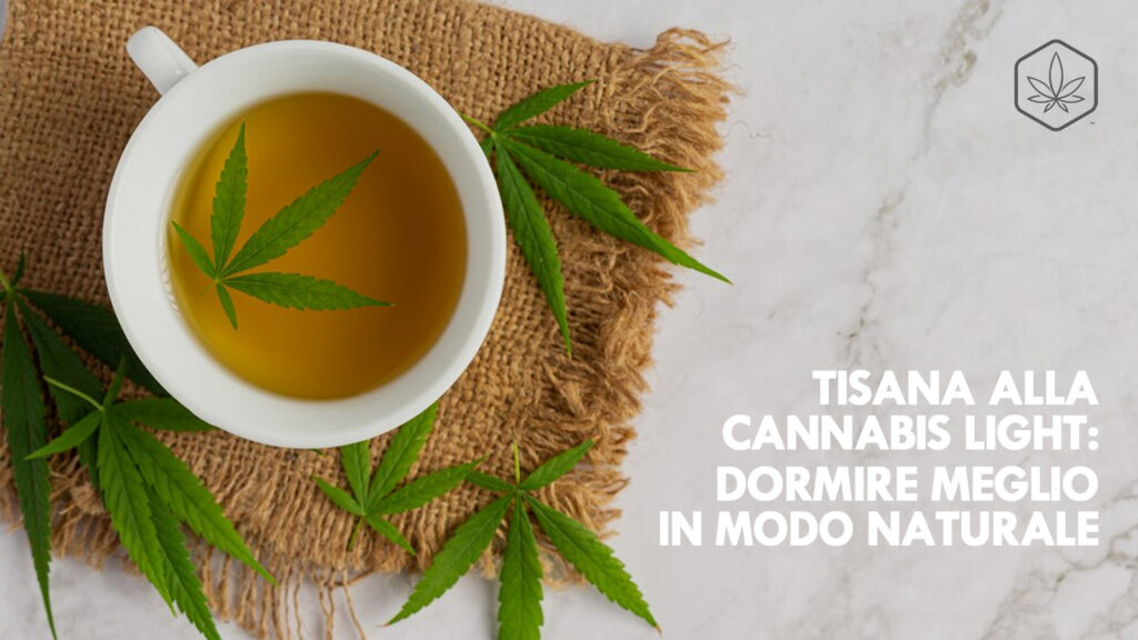 cannabis herbal tea tisana cbd