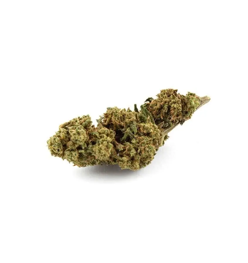 Amnesia Haze CBD
