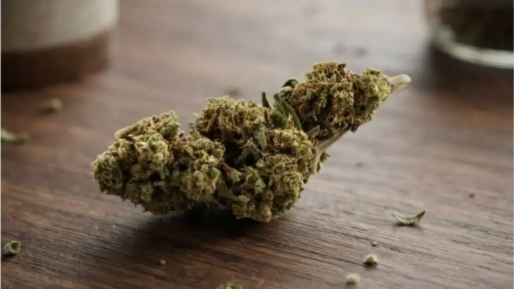 Amnesia Haze CBD