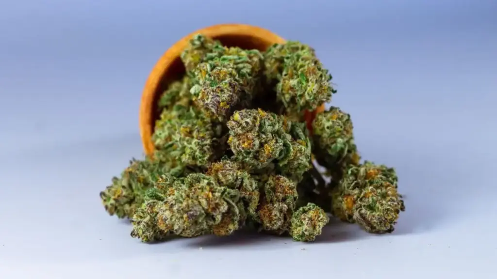 Amnesia Haze CBD