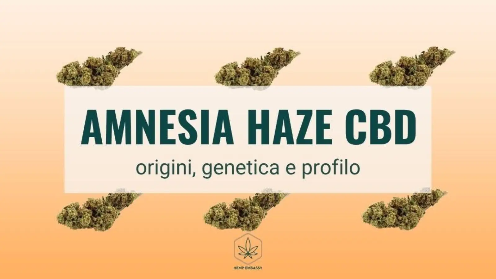 Amnesia Haze CBD