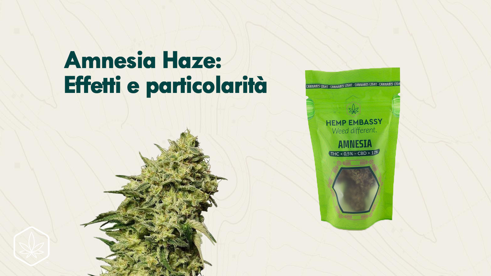 Amnesia Haze: effetti e caratteristiche
