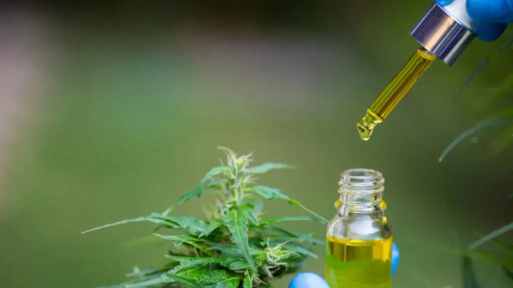 Cannabis oil