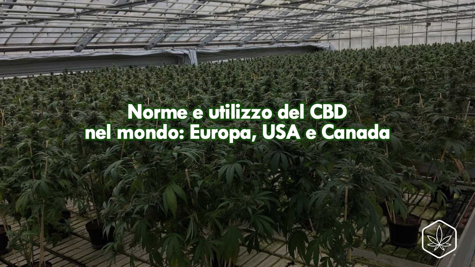 norme e utilizzo del cbd mondo usa canada europa