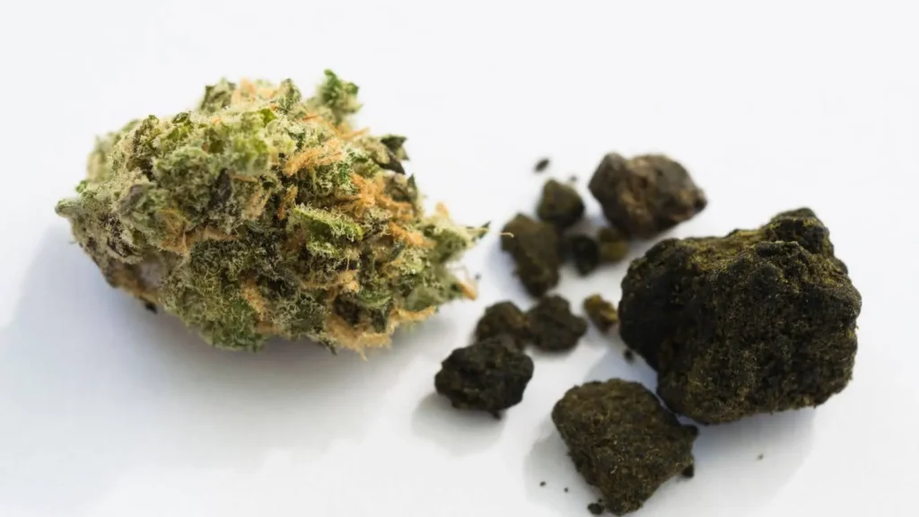 Hash o infiorescenza CBD