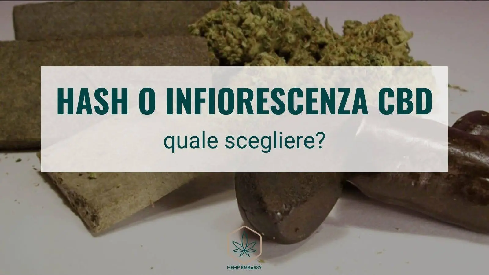 Hash o infiorescenza CBD