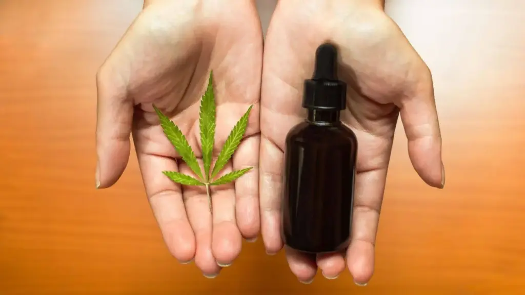 Olio CBD in farmaci