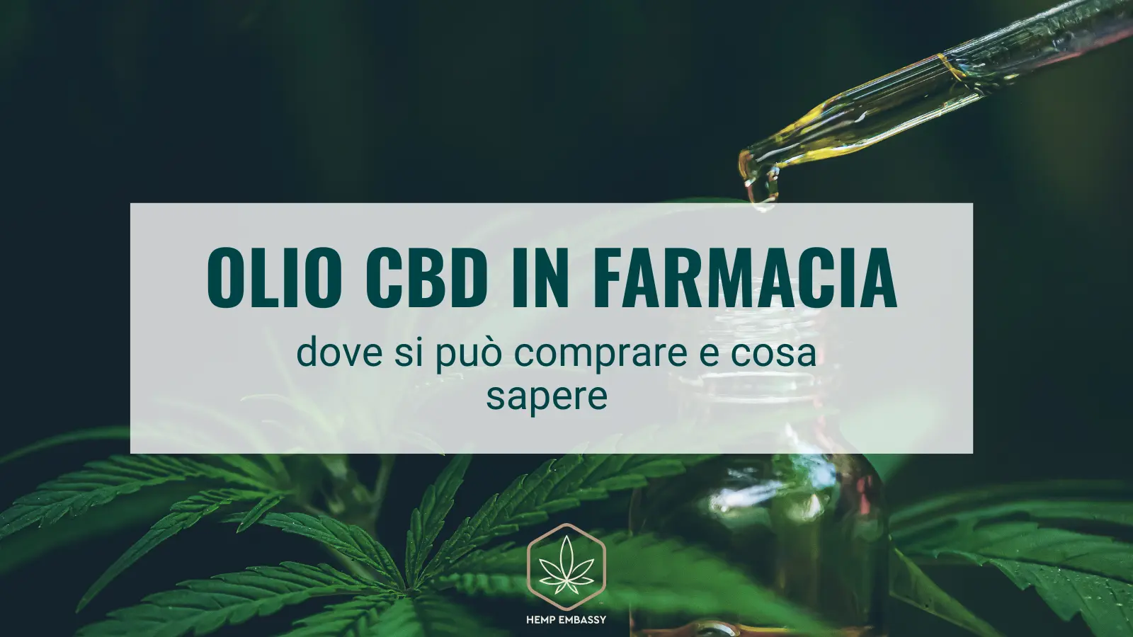 Olio CBD in farmaci