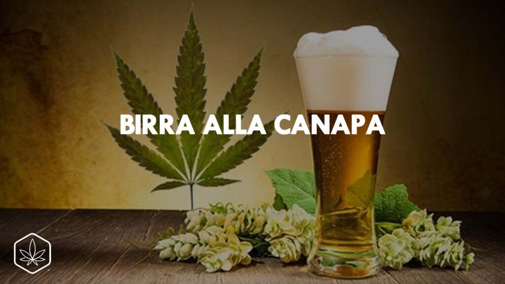 birra alla canapa cannabis cbd