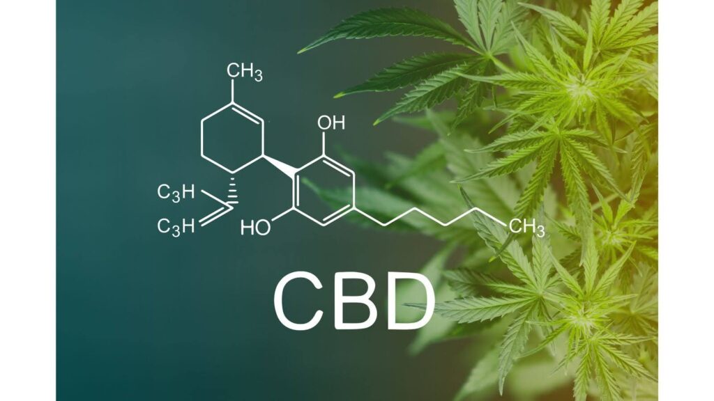 differenza tra thc e cbd