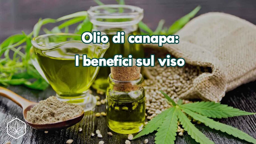 olio canapa benefici sul viso cbd cannabis mct
