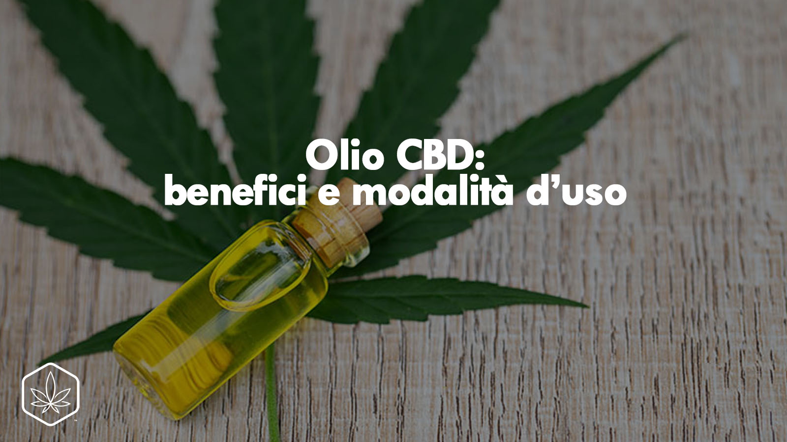 Olio CBD: benefici e modalità d'uso - guida completa - Hemp Embassy -  Cannabis Light & Hash CBD Online Shop
