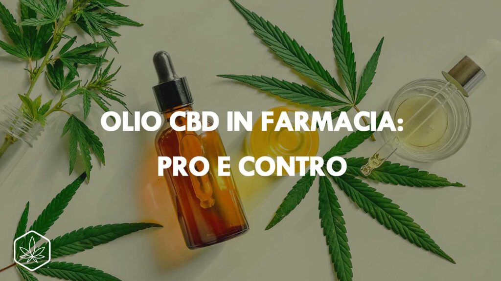 olio cannabis cbd oil cbd farmacia