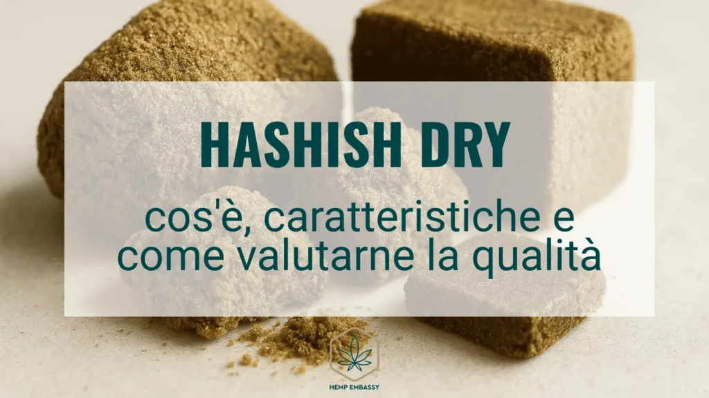 Hashish dry