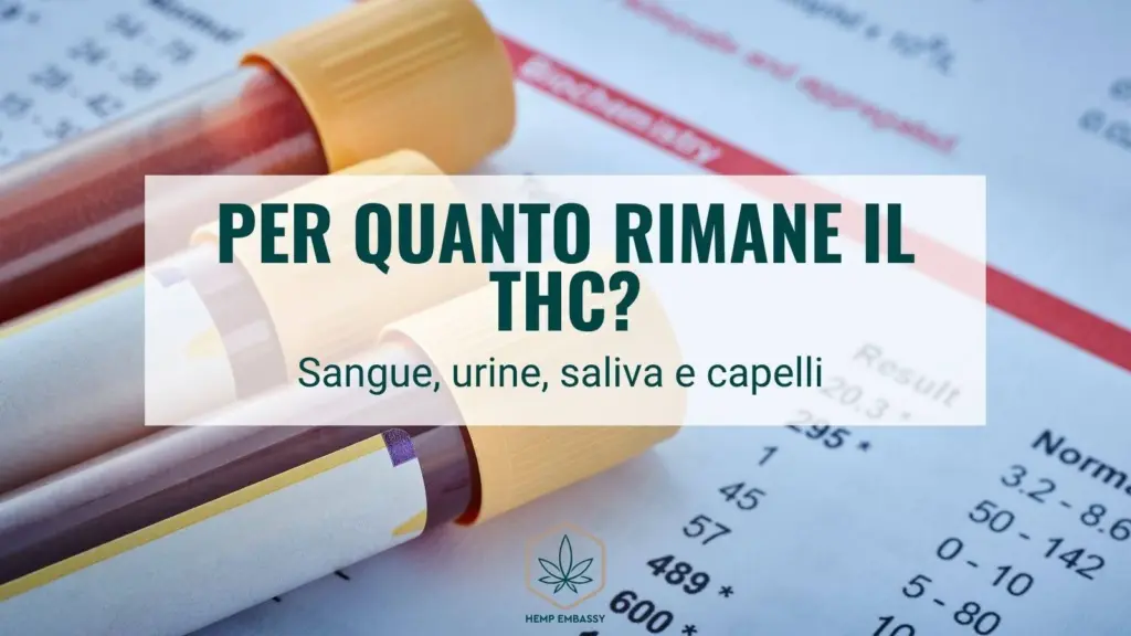 Per quanto rimane il thc