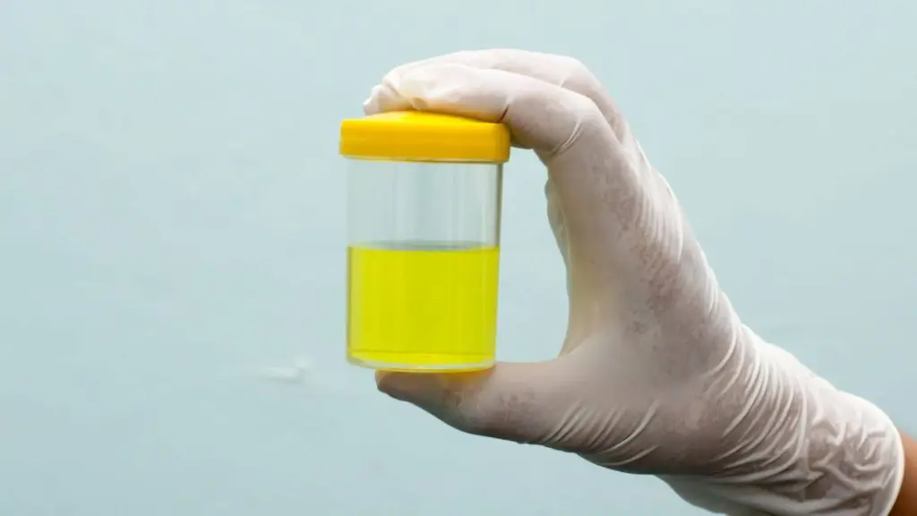 Per quanto rimane il thc