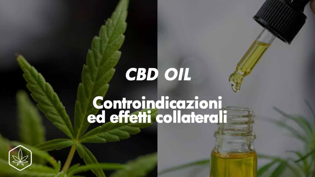 cbd oil olio cannabis controindicazioni effetti collaterali
