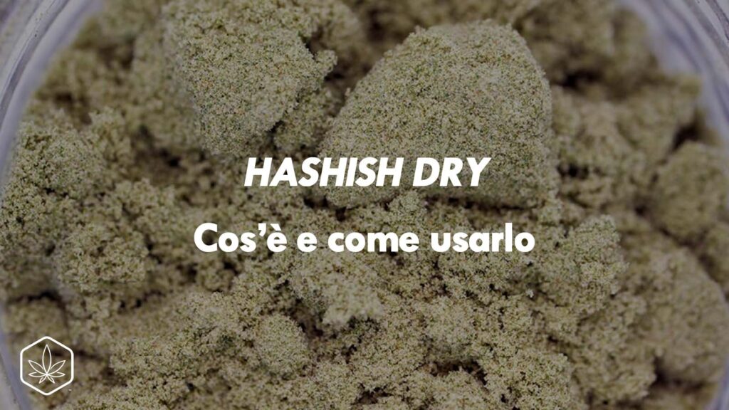 hash hashish dry cos'è come si usa what is