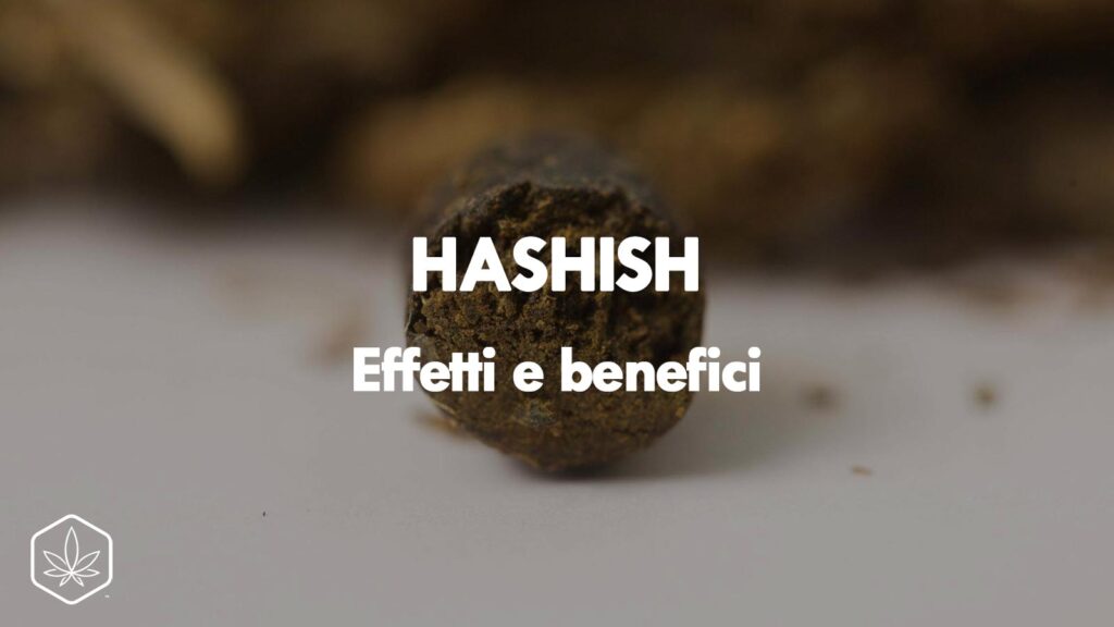 Hashish: cos'è e che caratteristiche ha?