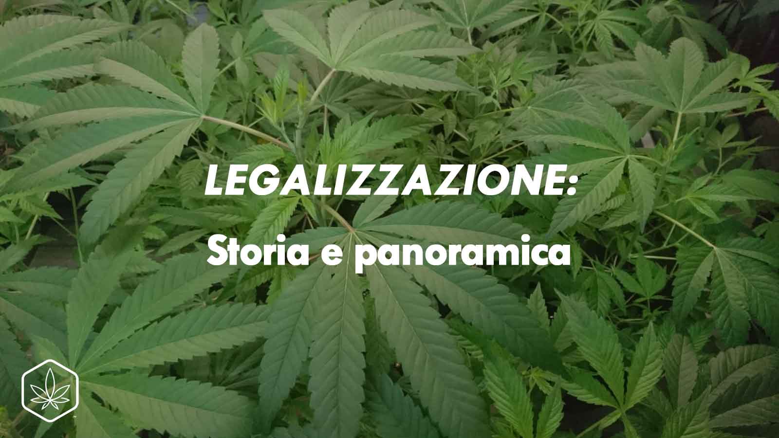 legalizzazione cannabis storia marijuana legale