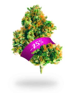 Ottieni lo sconto