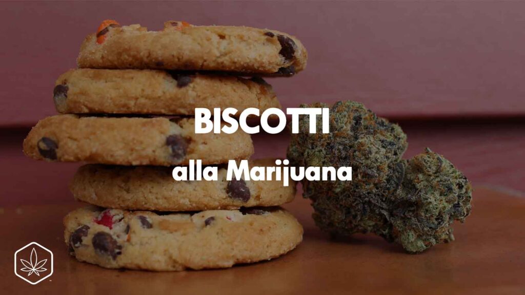 biscotti cookies marijuana erba cbd cannabis effetti precauzioni