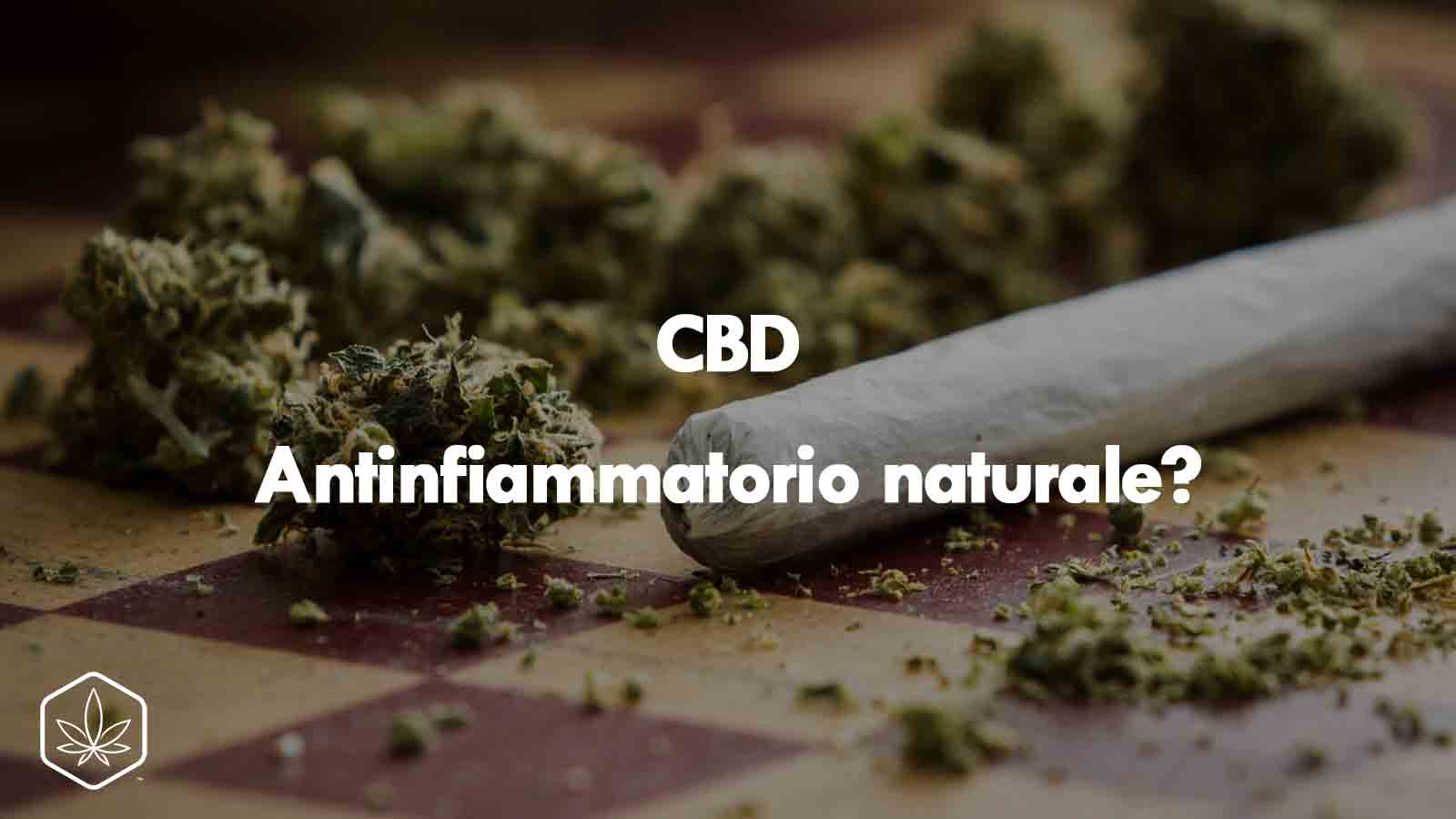 cbd antinfiammatorio naturale antinfiammatory remedy