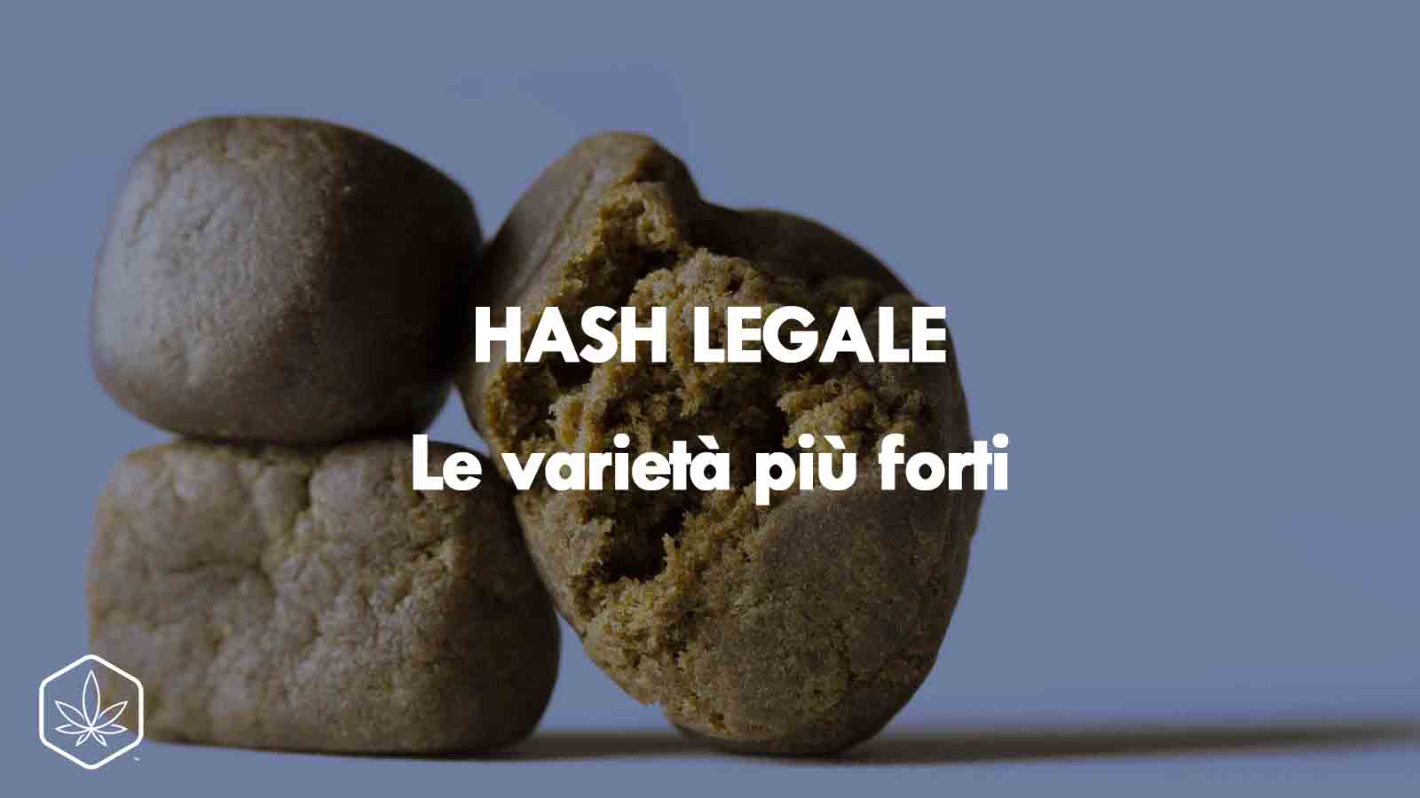 hash legale cbd varietà forte potente qualità