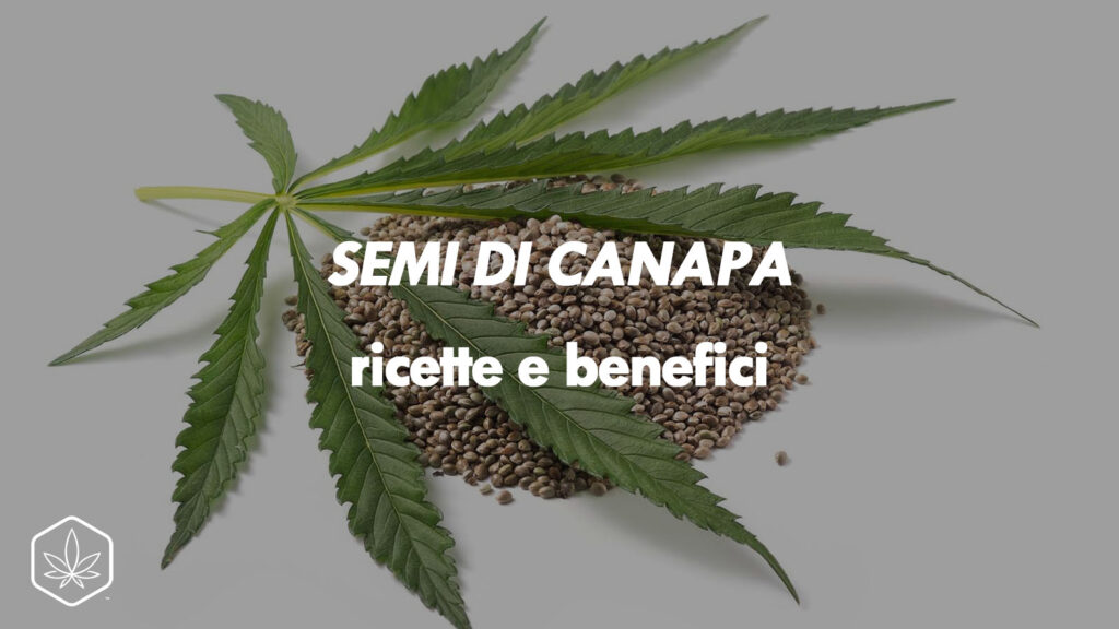 Semi di canapa: ricette, potere nutritivo e benefici per la salute - Hemp  Embassy - Cannabis Light & Hash CBD Online Shop