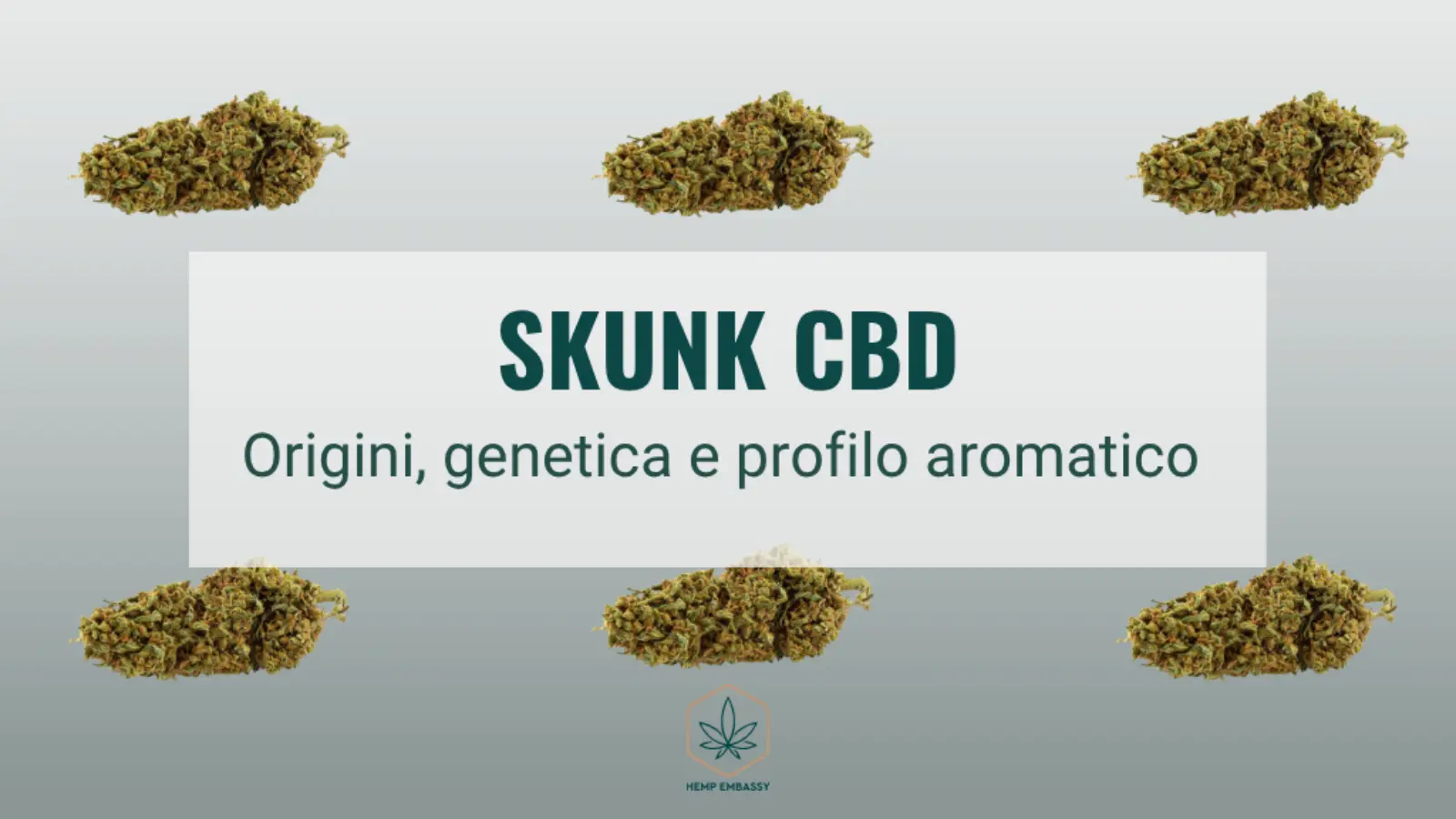 Skunk CBD
