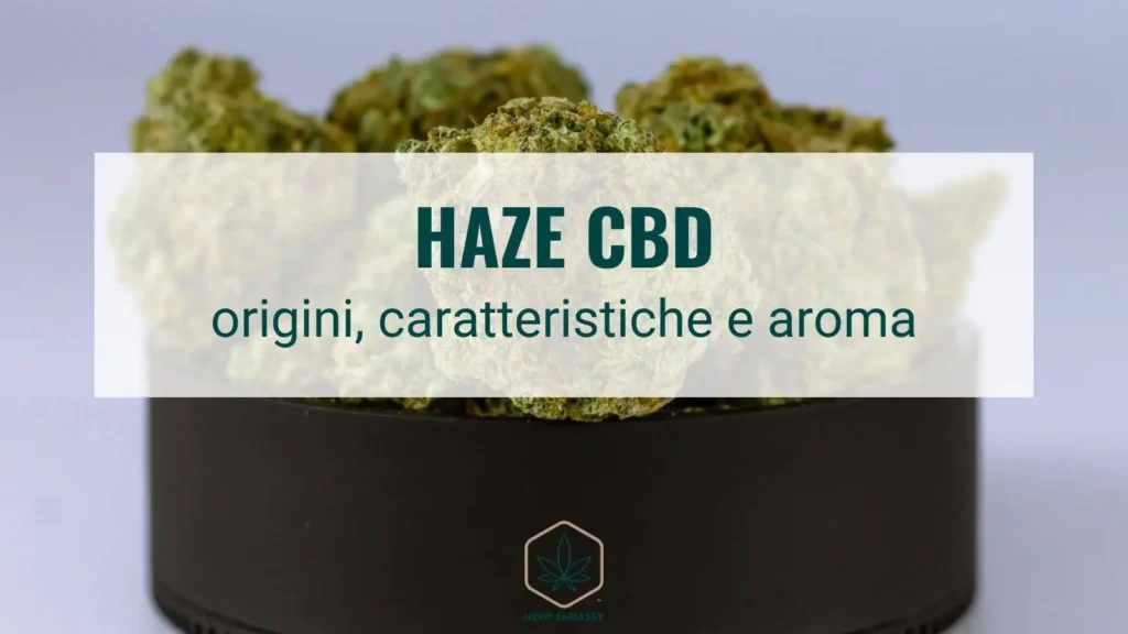 Haze CBD