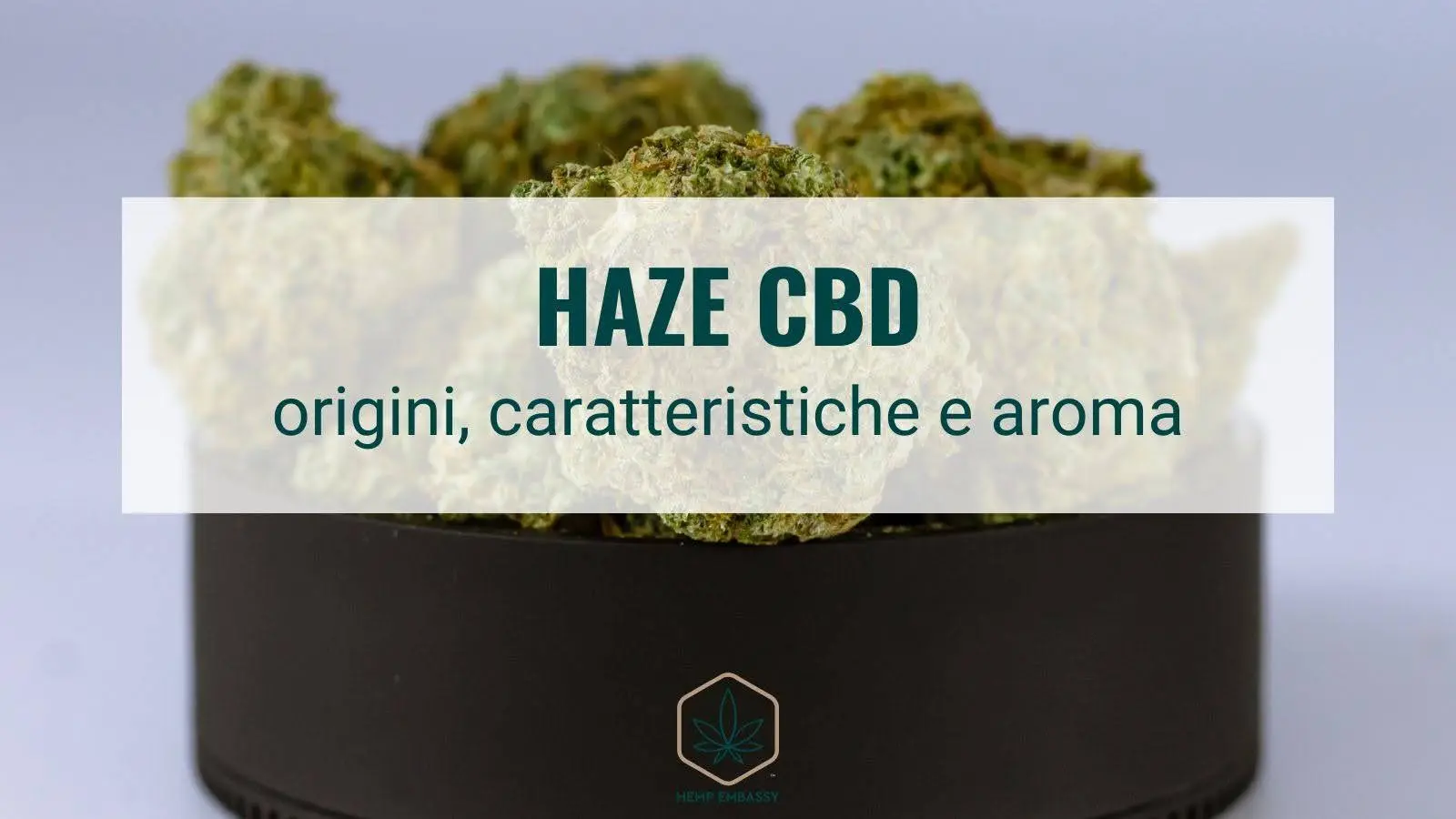 Haze CBD