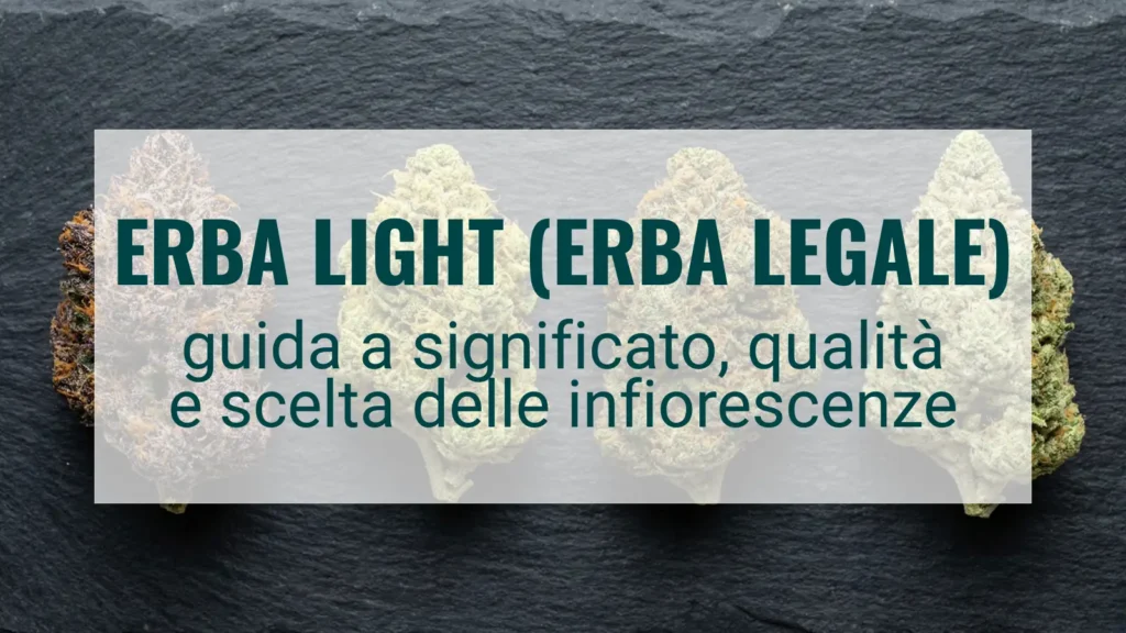 Erba light (erba legale)