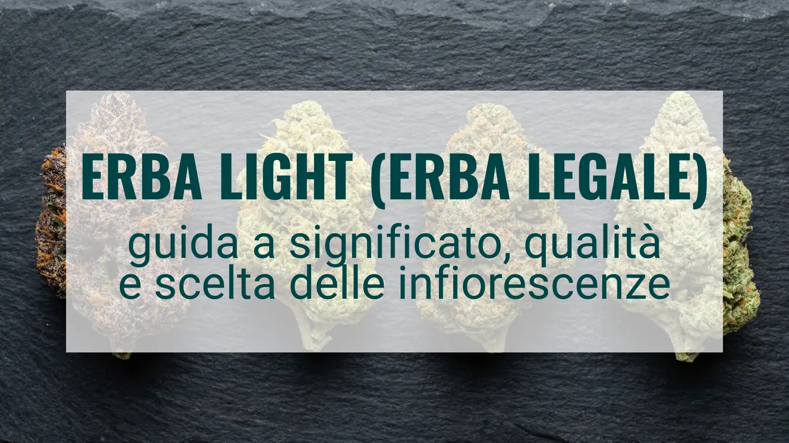 Erba light (erba legale)