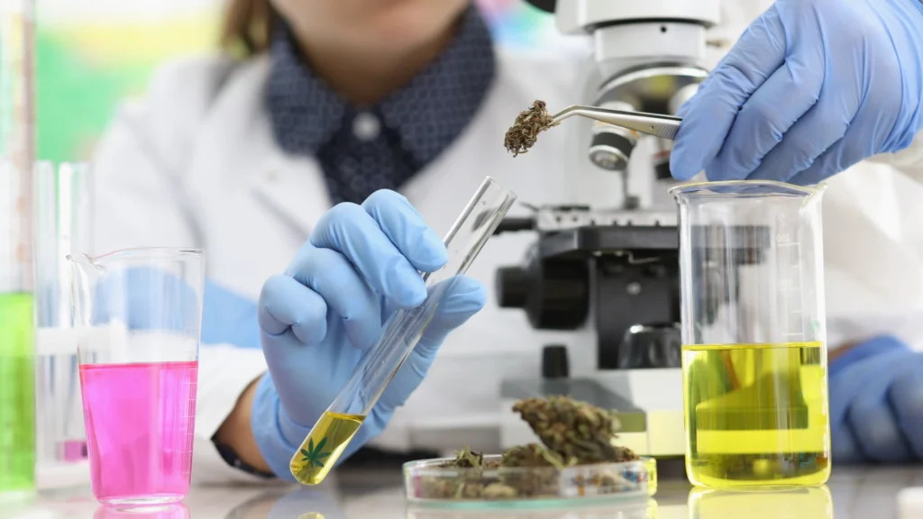 analisi laboratorio cannabis light