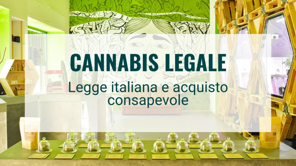 Cannabis Legale