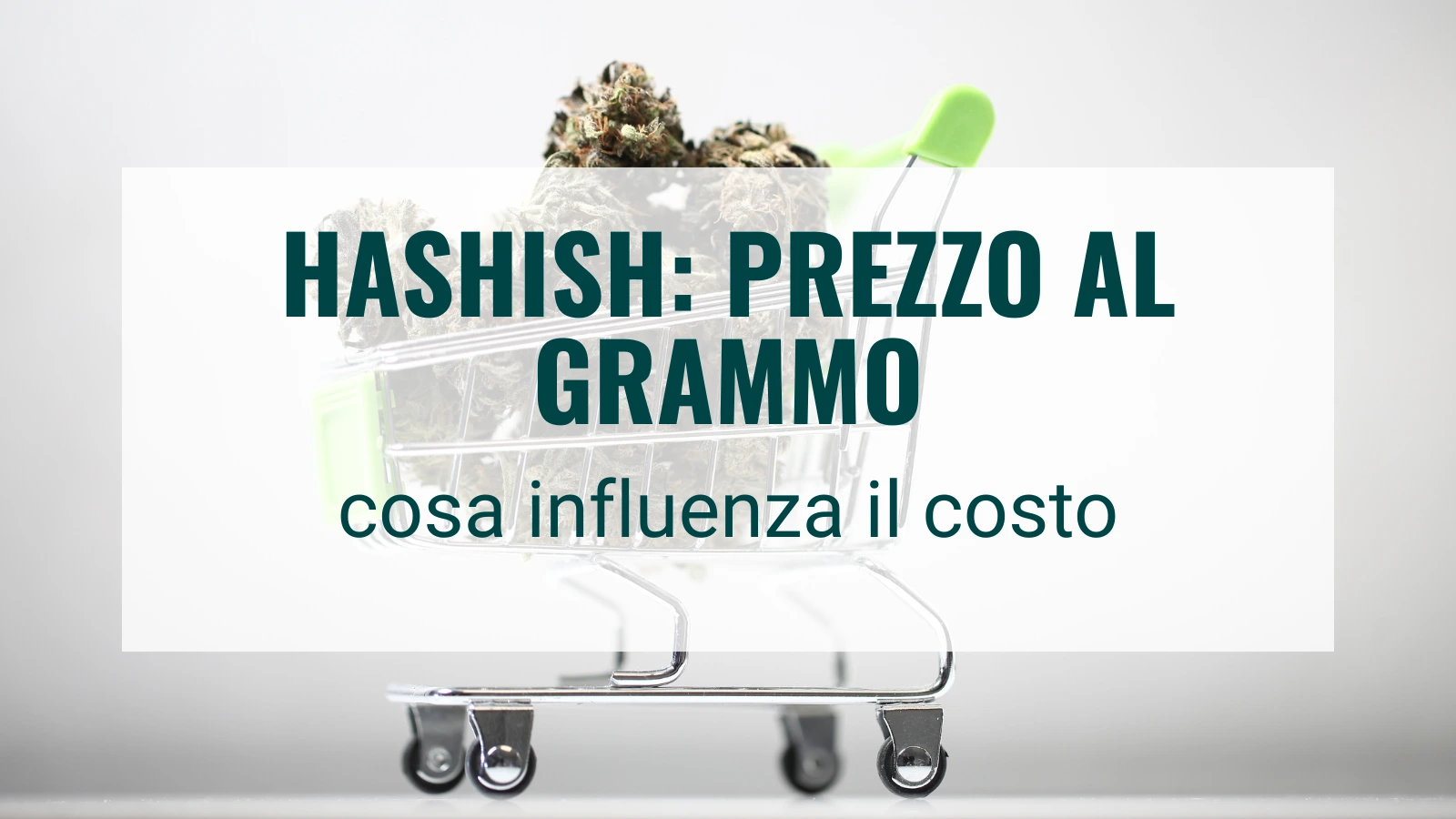 Hashish prezzo al grammo