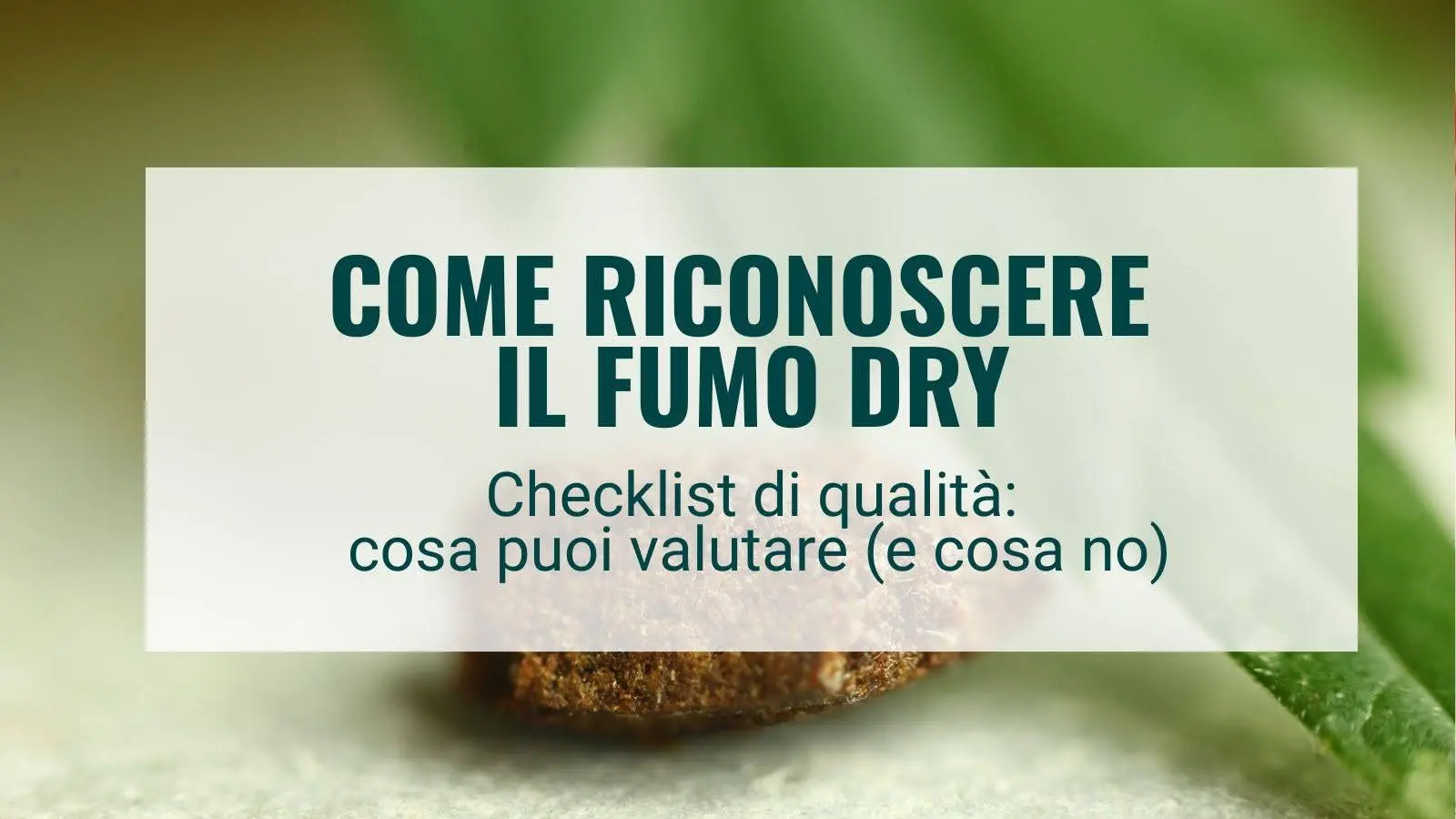 Come riconoscere il fumo dry