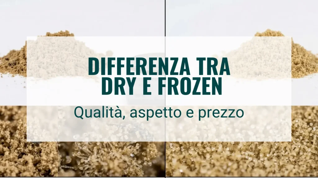 Differenza tra Dry e Frozen