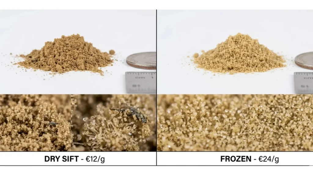 Differenza tra Dry e Frozen