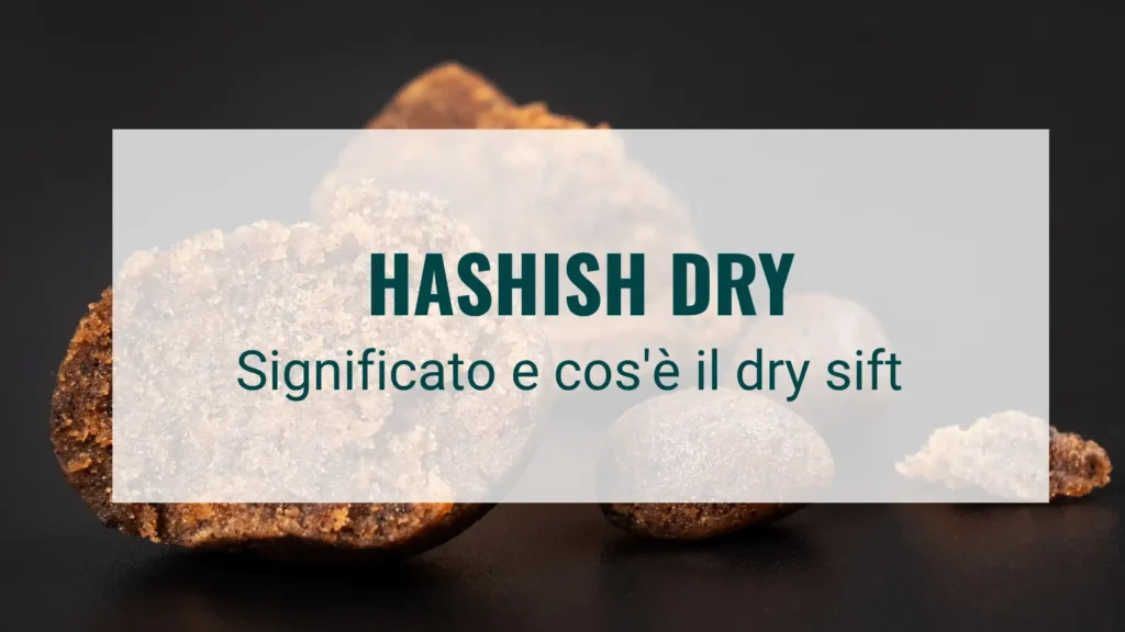 hashish dry significato