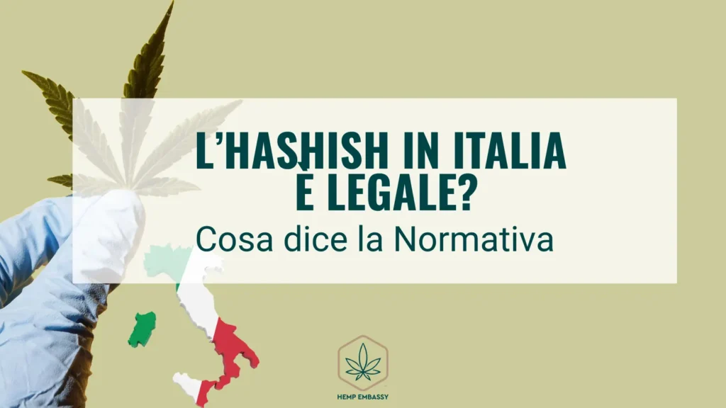 è legale hashish italia