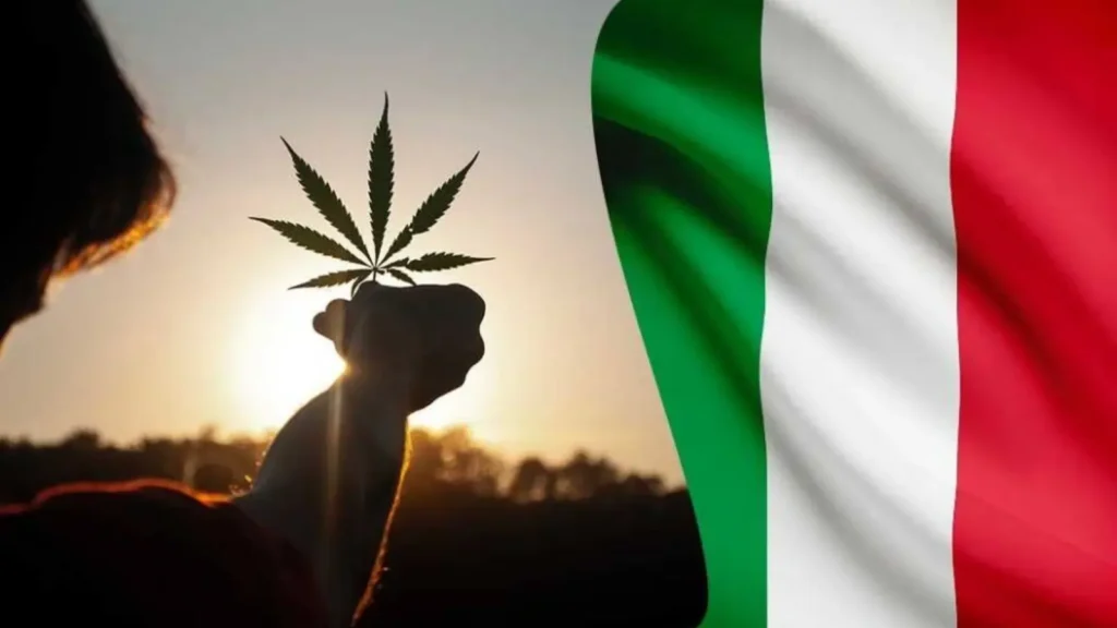 è legale hashish italia