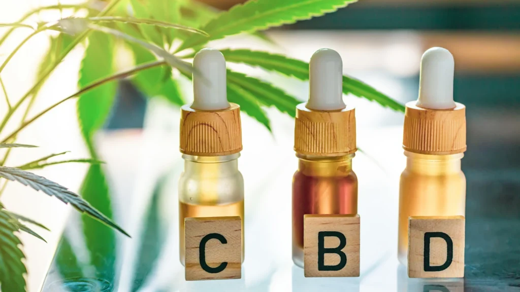 Hashish legale CBD