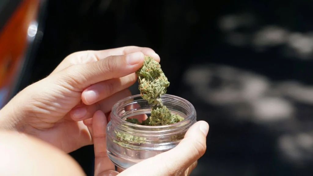 Normativa Cannabis Light in Italia 2