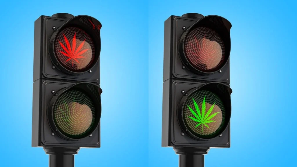 Normativa Cannabis Light in Italia
