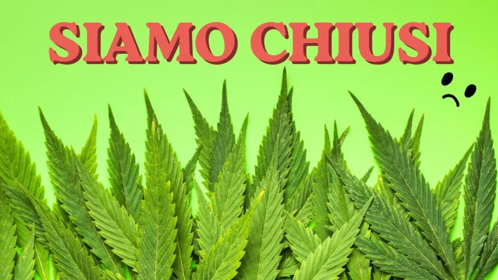 Normativa Cannabis Light in Italia
